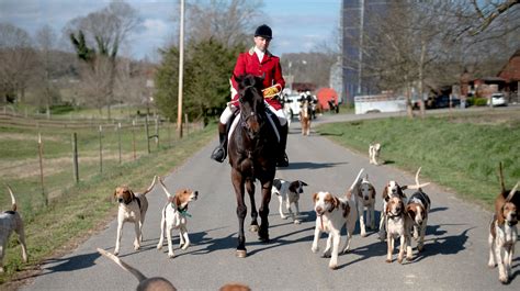 Centuries Of Fox Hunting Tradition Alive In East Tennessee