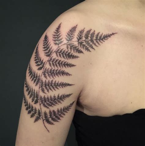 40 Beautiful Fern Frond Tattoo Designs Tattooblend