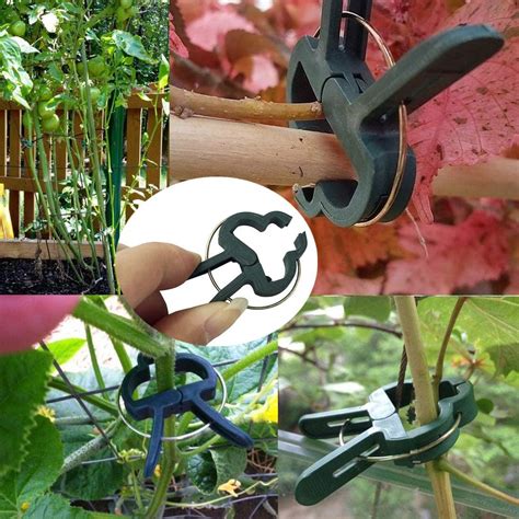 40 Pcs Plant Support Clips Flower And Vinegarden Tomato Plant Support