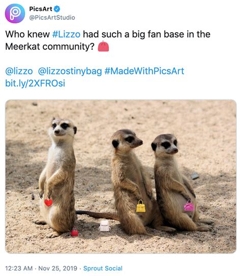 Meerkat Lizzo S Tiny Purse Know Your Meme