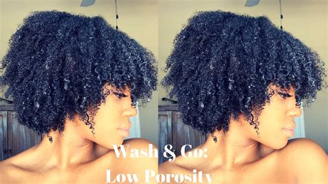 My Wash N Go Routine 2019 Low Porosity Hair Youtube