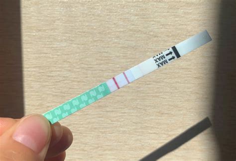 What Does A Positive Pregnancy Test Strip Look Like Natalist