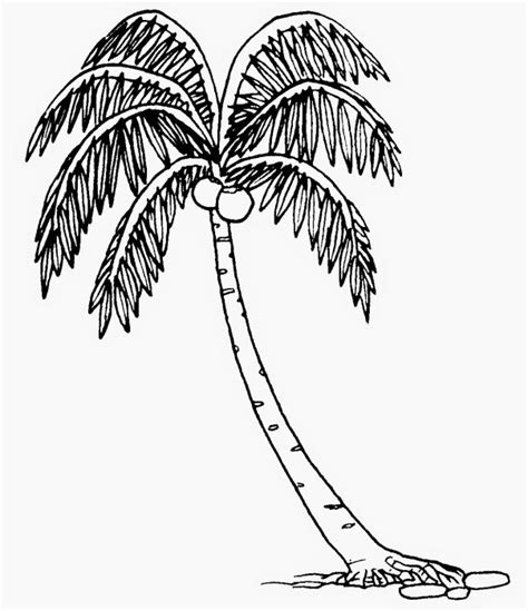 12+ Sketsa Pohon Kelapa yang Mudah di Buat (Langsung Bisa)