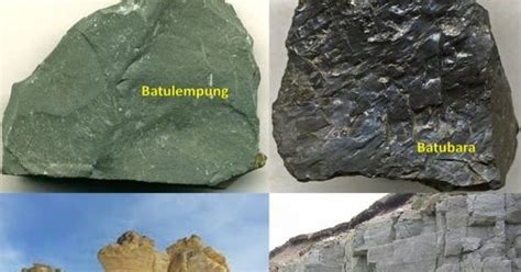 Jenis Dan Klasifikasi Batuan Sedimen