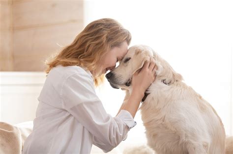 If you have any of these signs, see your doctor. Common Signs & Symptoms of Cancer in Dogs | Greensboro Vet