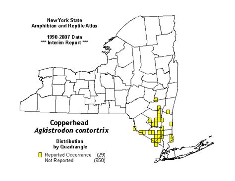 Northern Copperhead Distribution Map Nys Dept Of Environmental
