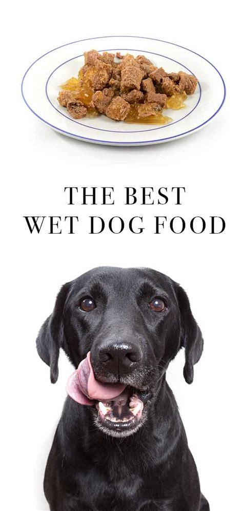 It comes in prime rib or chicken flavors. Best Wet Dog Food - The Top Choices For Your Dog
