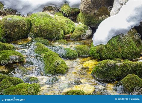 Spring Brook Thaw Stock Image Image Of Grass Flow Seasonal 93545705