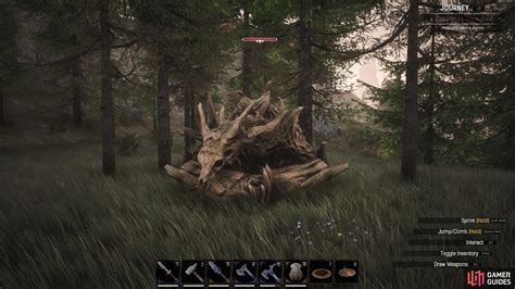 Rotbranch - Conan Exiles Database | Gamer Guides®