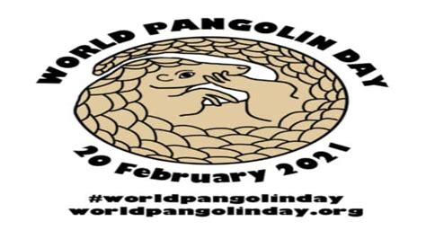 World Pangolin Day 2021 All Need To Know Prepareexams