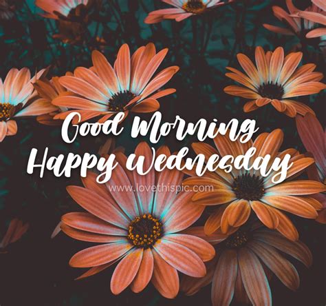 Happy Wednesday Images With Flowers