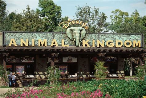 Disneys Animal Kingdom A Orlando Come Muoversi Tra Foreste Savane E