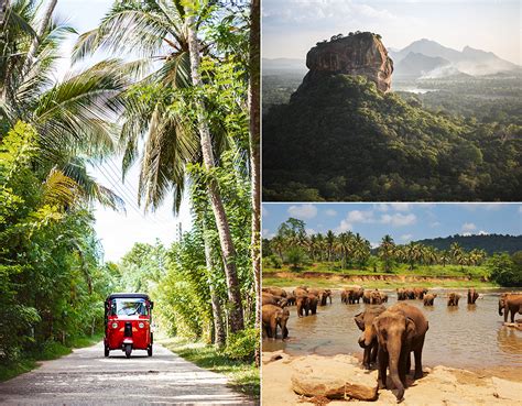 Reisverslag Sri Lanka 16 Daagse Rondreis Authentiek Ceylon