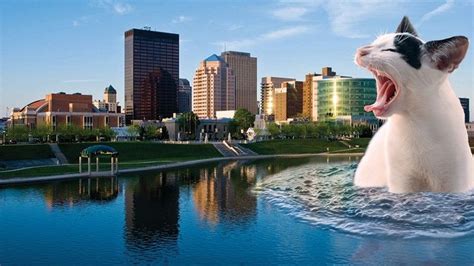 Fancy Up Your Next Zoom Call With A Delightful Dayton Background In