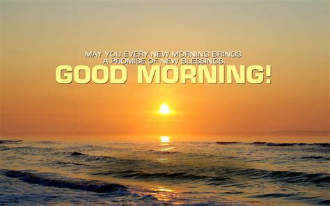 Free Download Daily Cards Good Morning Good Morning Wishes Hd Wallpaper