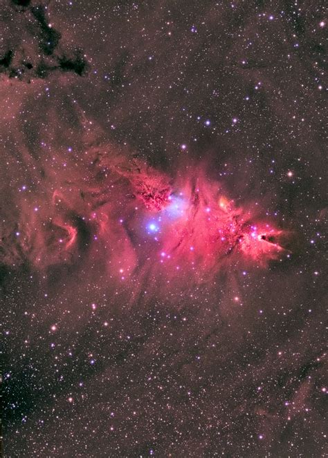 Ngc 2264 The Cone And Fox Fur Nebula Nebula Astronomy Space And