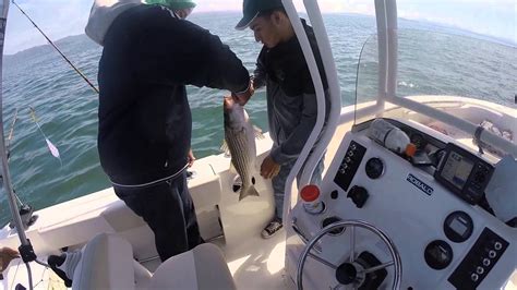Golden Gate Fishing 7 12 2015 Youtube