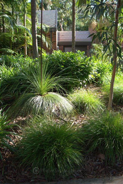 According to many amateur and professional gardeners, basil serves as a natural bug repellent that drives off unwanted. Portfolio: Garden Designs Gordon Update - Mallee Design