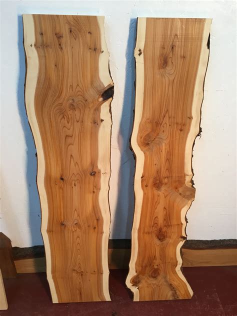 Yew Bundle Natural Waney Live Edge Slab Wood Board