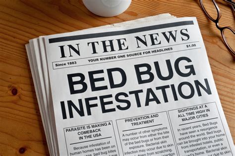 5 Signs Youve Got A Bed Bug Infestation And How To Deal With It