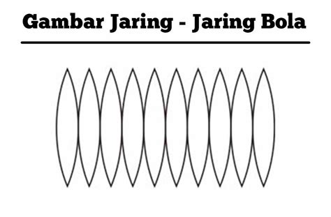 Cara Membuat Jaring Jaring Bangun Ruang Bola Dosen App