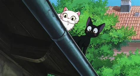 Jiji The Black Cat All About Ami