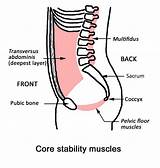 Male Pelvic Muscle Exercises