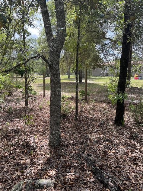 Bronson, Levy County, FL Farms and Ranches, Homesites for sale Property