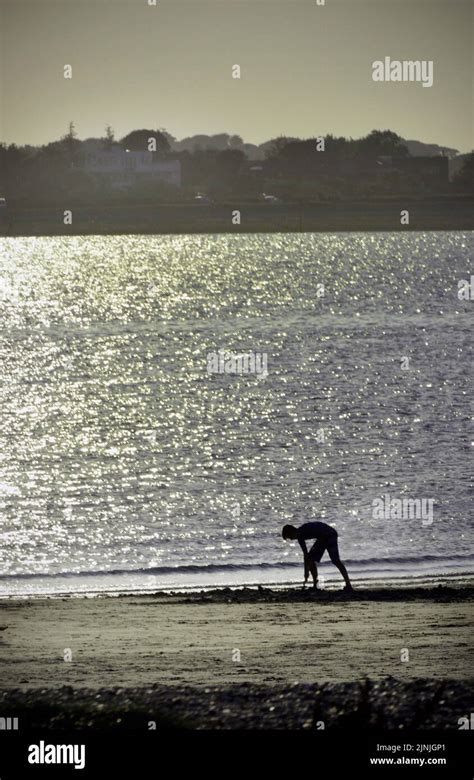 Man Digging On Beach Stock Photo Alamy