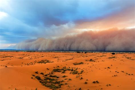 Dust Storms In The Sahara Are Killing Kids Half A Continent Away Vox