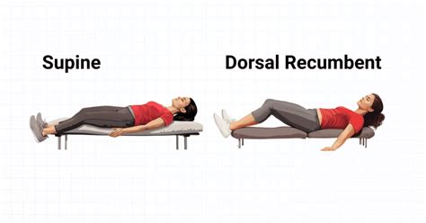 What Is The Dorsal Recumbent Position