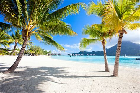 Holidays In Tahiti Its Just Got To Be Done And Were So Close