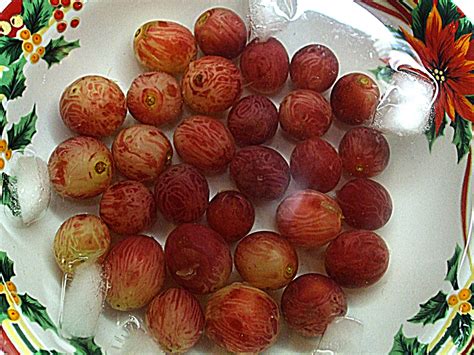 Raisins are produced in many regions of the world and may be eaten raw or used in cooking, baking, and brewing. Sweet Freedom: A Fridge too Far...Try Dehydrating