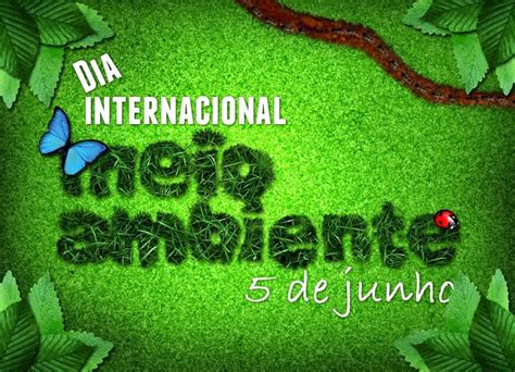 Todas as questões pode ser aplicado em sala de aula para os alunos do 1° ano ao 5° ano da educação infantil, essa data é comemorado no dia 5 de junho. blog do delmanto: Dia Internacional do MEIO AMBIENTE - 5 ...
