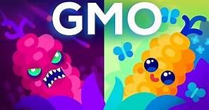 Are GMOs Good or Bad? Genetic Engineering & Our Food