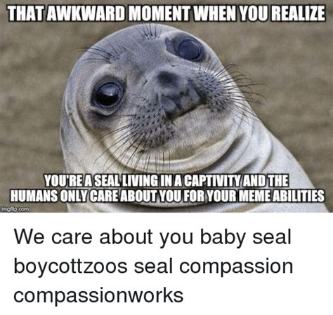 19 Very Funny Seal Meme That You Never Seen Before Memesboy