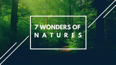 7 Wonders Of Nature Finalists Youtube