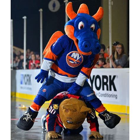 Get all the top islanders fan gear for men, women, and kids at shop.nhl.com. https://www.greatmascot.com/school-mascot/new-york ...