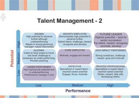 9 box talent management | Talent management, Workforce management, Leadership development activities