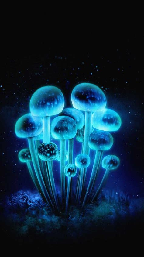 Some Very Pretty Blue Mushrooms In The Dark