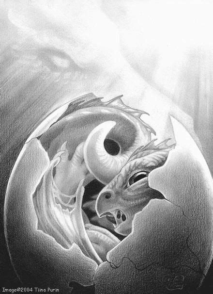 Hatchling By Mirroreyesserval Dragon Sketch Dragon Pictures Baby