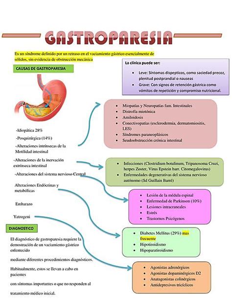 Gastroparesia1 Gastroenterología Medicina Humana Udocz