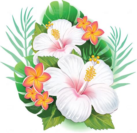 Watercolor Tropical Flowers Png How To Do Thing