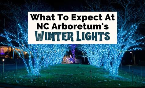 The Nc Arboretums Winter Lights Why Youll Love It Uncorked Asheville