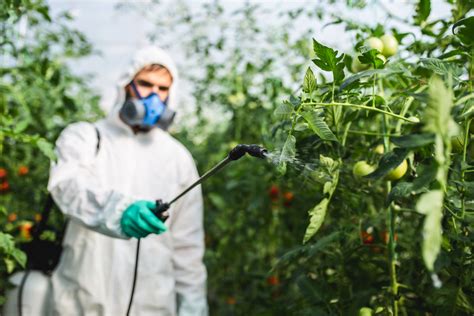 Ways Pesticides Impact Your Health What To Do About It