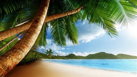 Landscape Beach With Palm Trees Sea Hd Wallpaper 506080