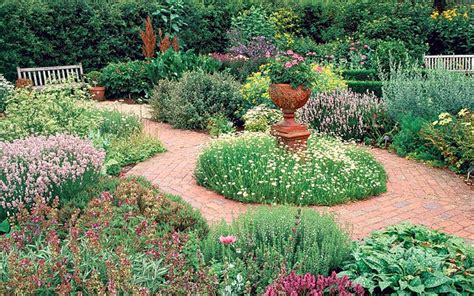 Ten Tips For Your Herb Garden Telegraph