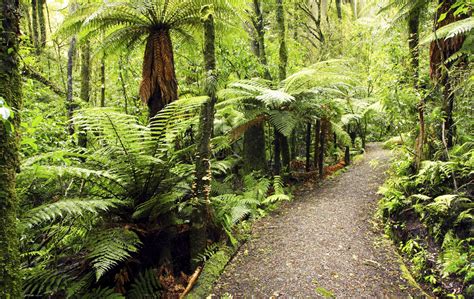 2016 New Zealand Hiking Vacation For Women South Island