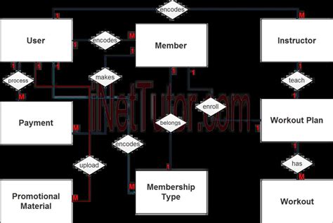 Gym Management System Er Diagram Gym Management Program With Attributes Creately