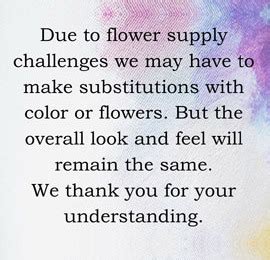 Proflowers.com has been visited by 10k+ users in the past month Home - Cathy Cowgill Flowers - Cathy Cowgill Flowers